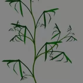 Plant Branches 3d model