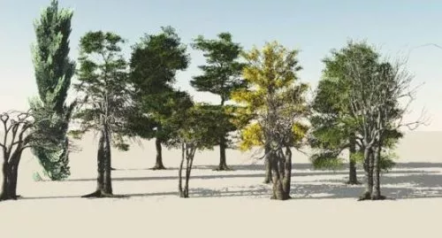 Realistic Trees 3d model Realistic Trees 3d model