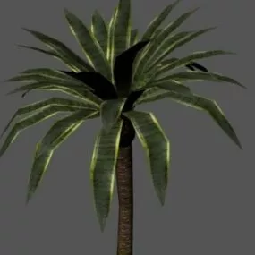 Palm Tree 3d model