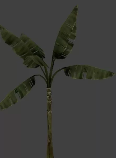 Cavendish Banana 3d model