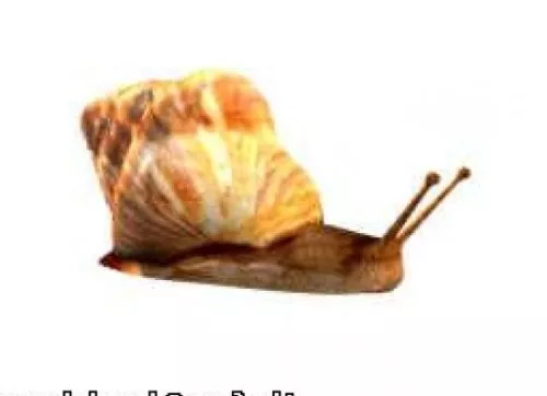 Cute Snail Robot Character 3d model