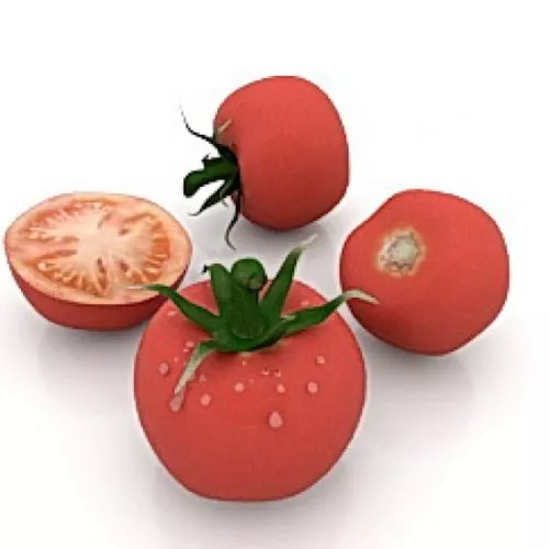 Food Tomatoes 3d model Food Tomatoes 3d model