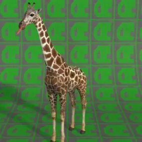 Giraffe Animal 3d model