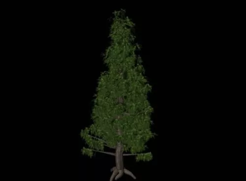 Needle Tree 3d model Needle Tree 3d model