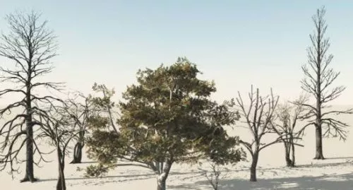 10 Trees Free 3d model 10 Trees Free 3d model