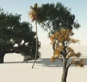 Oak Trees Collection 3d model