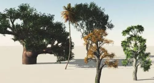 Oak Trees Collection 3d model Oak Trees Collection 3d model