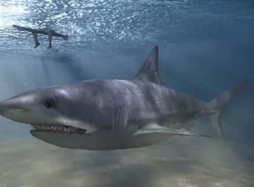 Shark Fossil Sculpture 3d model
