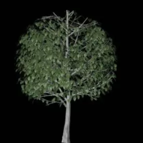 Tree  Free 3d model