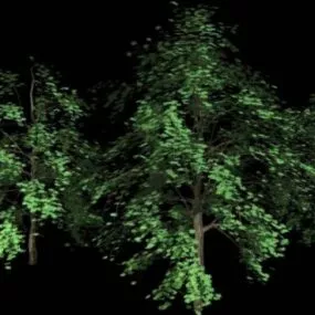 Highpoly Pine Trees 3d model