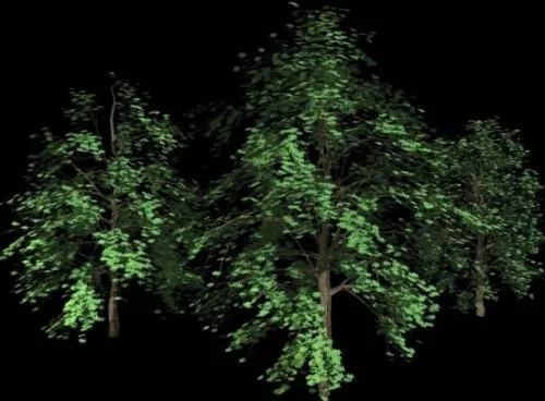 Pine Tree In Snow Landscape 3d model