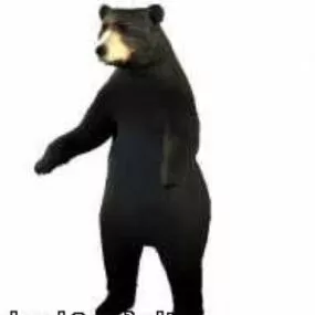 Stand Bear 3d model