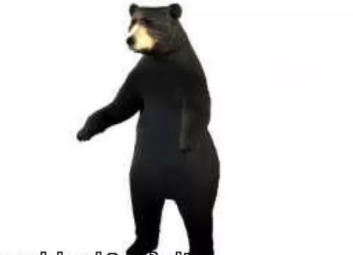 Realistic Panda Bear 3d model