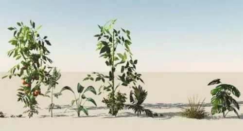 Various Low Plants 3d model Various Low Plants 3d model