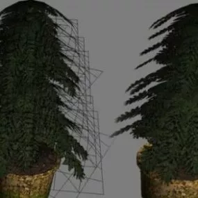 Plants in Pots 3d model