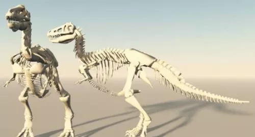 T-rex Bone 3d model T-rex Bone 3d model