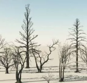 Some Dead Trees 3d model