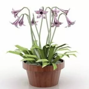 House Plant Flower 3d model