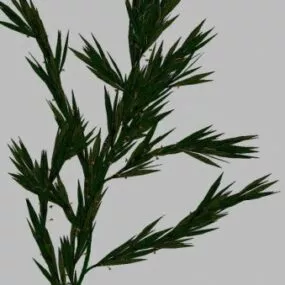 Plant 20 3d model