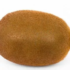 Kiwi Fruit 3d model