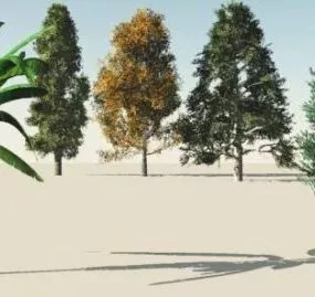 5 Tropical Trees 3d model