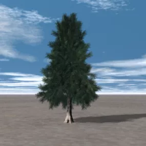 Hemlock Tree 3d model