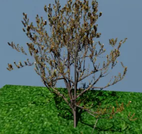 Arbre Tree 3d model