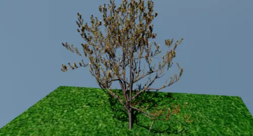 Arbre Tree 3d model Arbre Tree 3d model