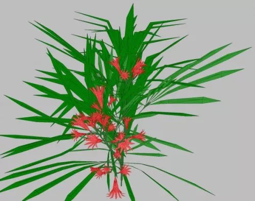 Small Bush With Grass 3d model