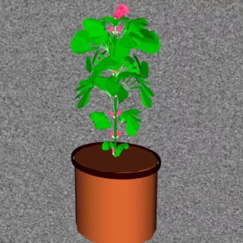 Indoor Flower Pot Lowpoly 3d model Indoor Flower Pot Lowpoly 3d model
