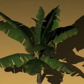 Banana Tree 3d model