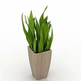 House Plant Indoor 3d model
