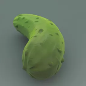 Fruit Pickle 3d model