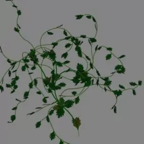 Climbing Plants 3d model