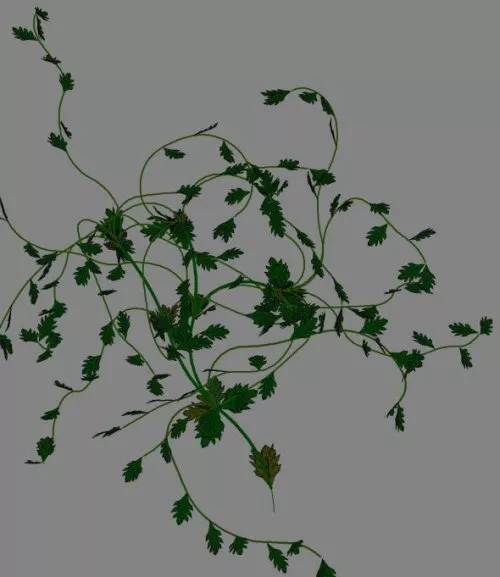 Climbing Plants 3d model Climbing Plants 3d model