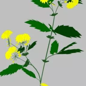 Small Plant Flower 3d model