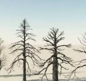 Branches Winter Trees 3d model