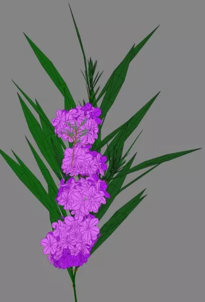 Purple Flower Lowpoly 3d model Purple Flower Lowpoly 3d model
