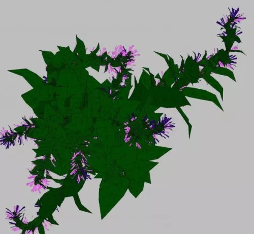 Wild Simple Flower Tree 3d model Wild Simple Flower Tree 3d model