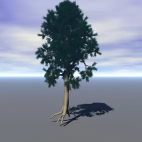 Scotts Pine Tree 3d model