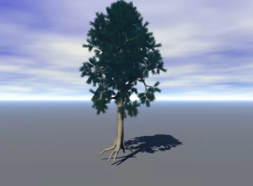 Scotts Pine Tree 3d model Scotts Pine Tree 3d model