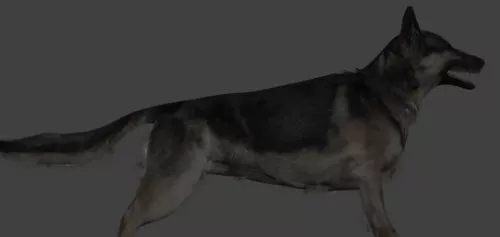 Shepard Dog 3d model Shepard Dog 3d model