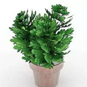 Indoor House Plant With Pot 3d model