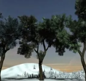 3 Pine Tree Set 3d model