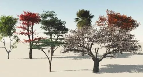 Various Tree 3d model Various Tree 3d model