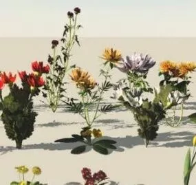 Flowers Set 3d model