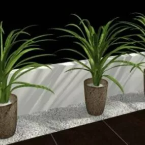 Small Pot House Plant 3d model
