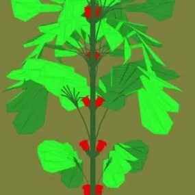 Tree Flower Lowpoly 3d model