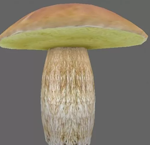 Cartoon Mushroom Monster 3d model
