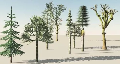 Prehistoric Trees 3d model Prehistoric Trees 3d model